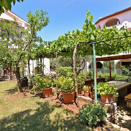 Milan 1174 * פולה